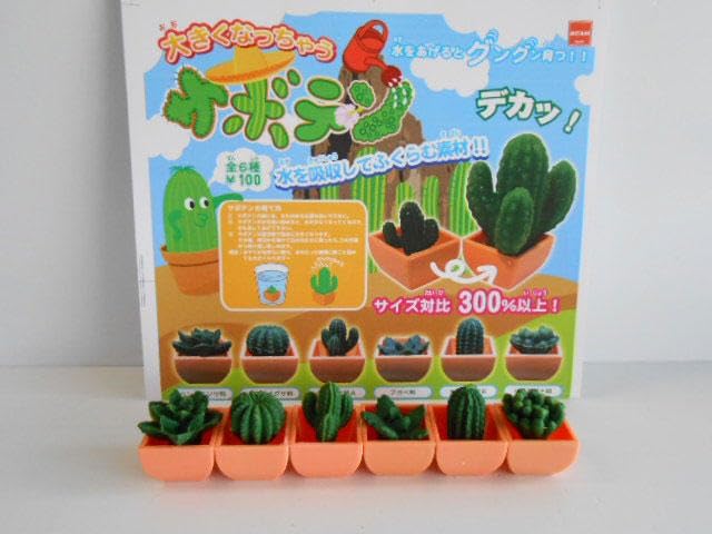 ♯Jzi06AZ大きくなっちゃうサボテン全6種 サボテンを種類別に紹介